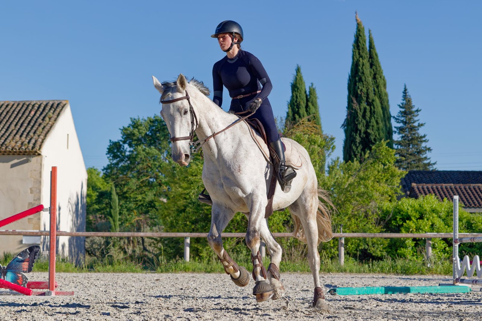 Cavalière au galop sur un cheval gris dans la carrière du domaine