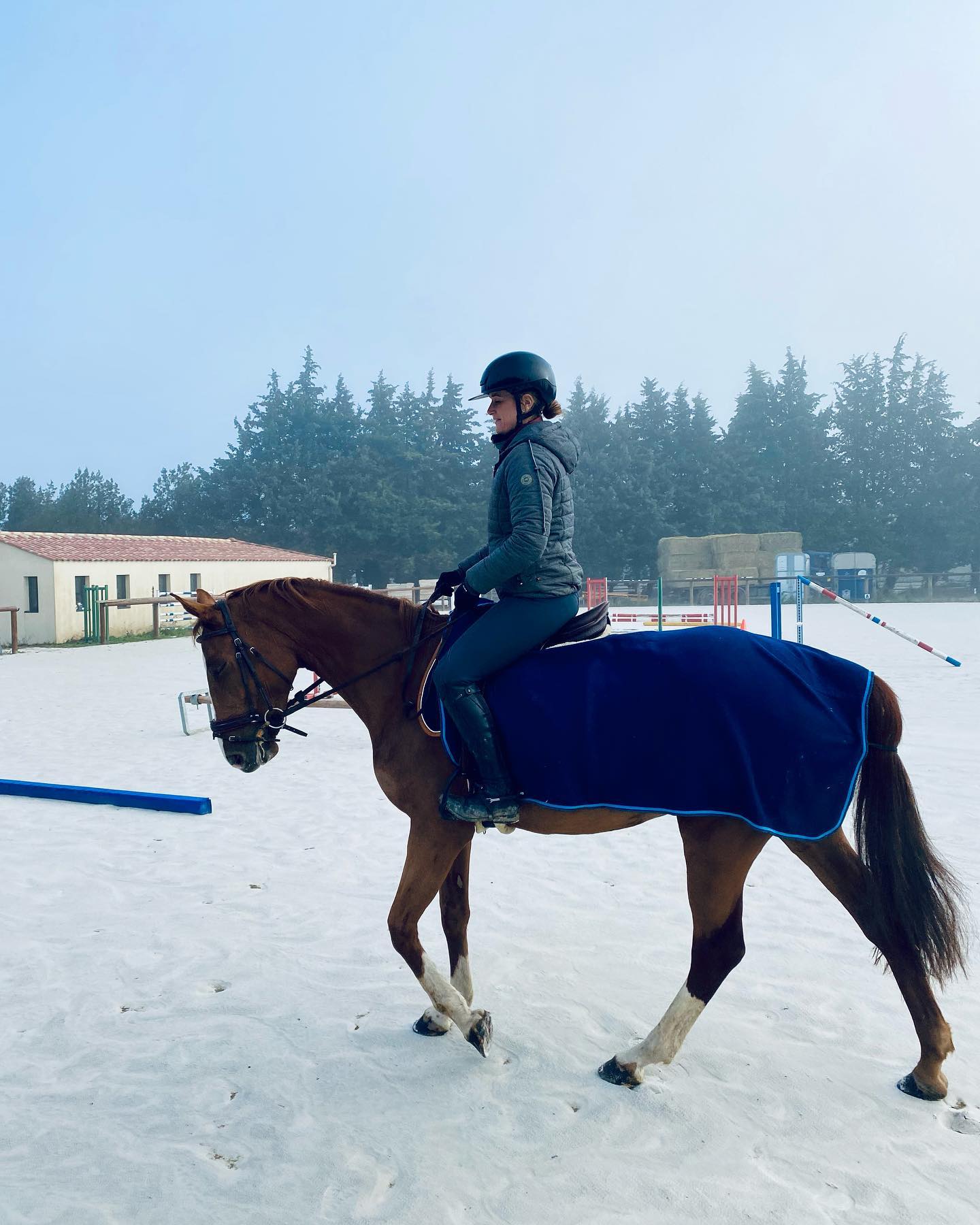 Cheval en pension travaillé dans la carrière du Domaine de Révélat